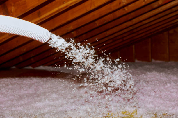 Best Residential Insulation in Chelsea, OK